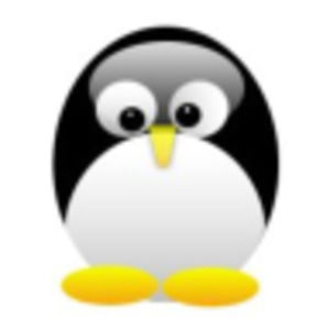 Meet your Posher, Joyce